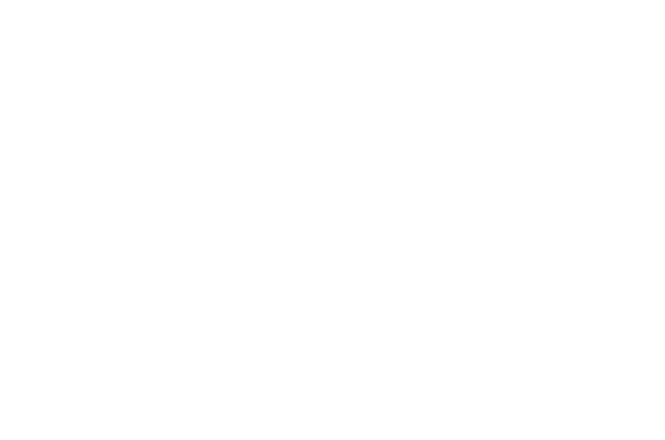 Partner With Us